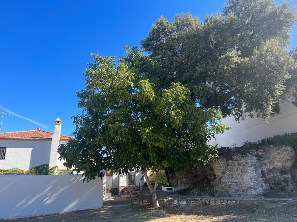 Alojamiento Rural Huerta Mandre Cuevas del Becerro エクステリア 写真