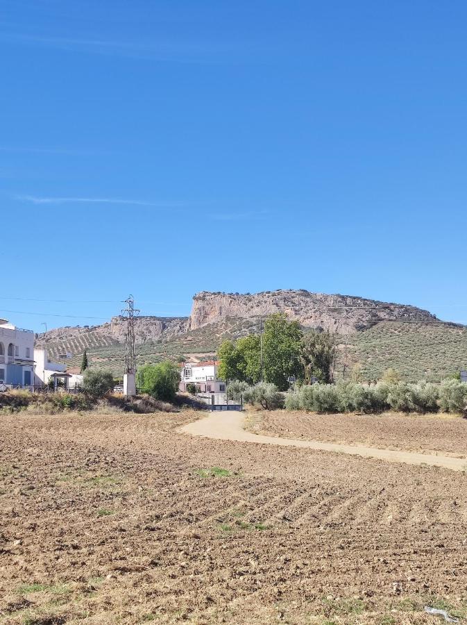 Alojamiento Rural Huerta Mandre Cuevas del Becerro エクステリア 写真