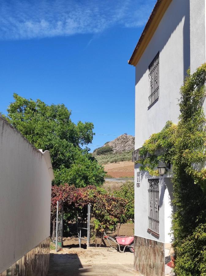 Alojamiento Rural Huerta Mandre Cuevas del Becerro エクステリア 写真