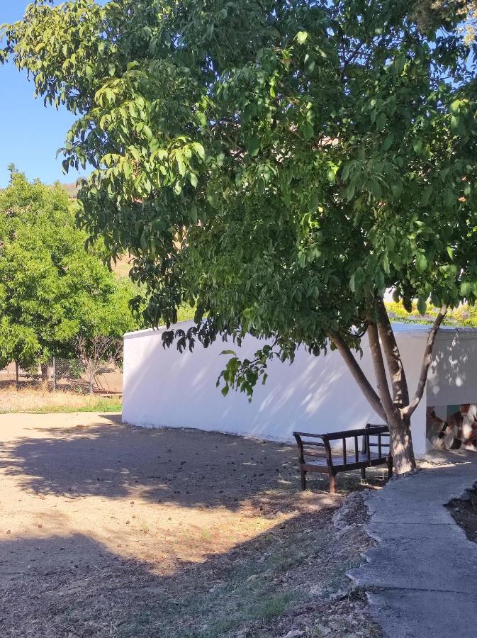 Alojamiento Rural Huerta Mandre Cuevas del Becerro エクステリア 写真