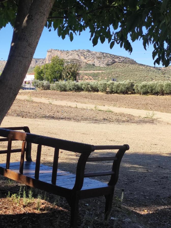 Alojamiento Rural Huerta Mandre Cuevas del Becerro エクステリア 写真
